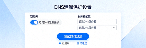 展示DNS泄漏保护功能的设置界面，确保域名查询安全
